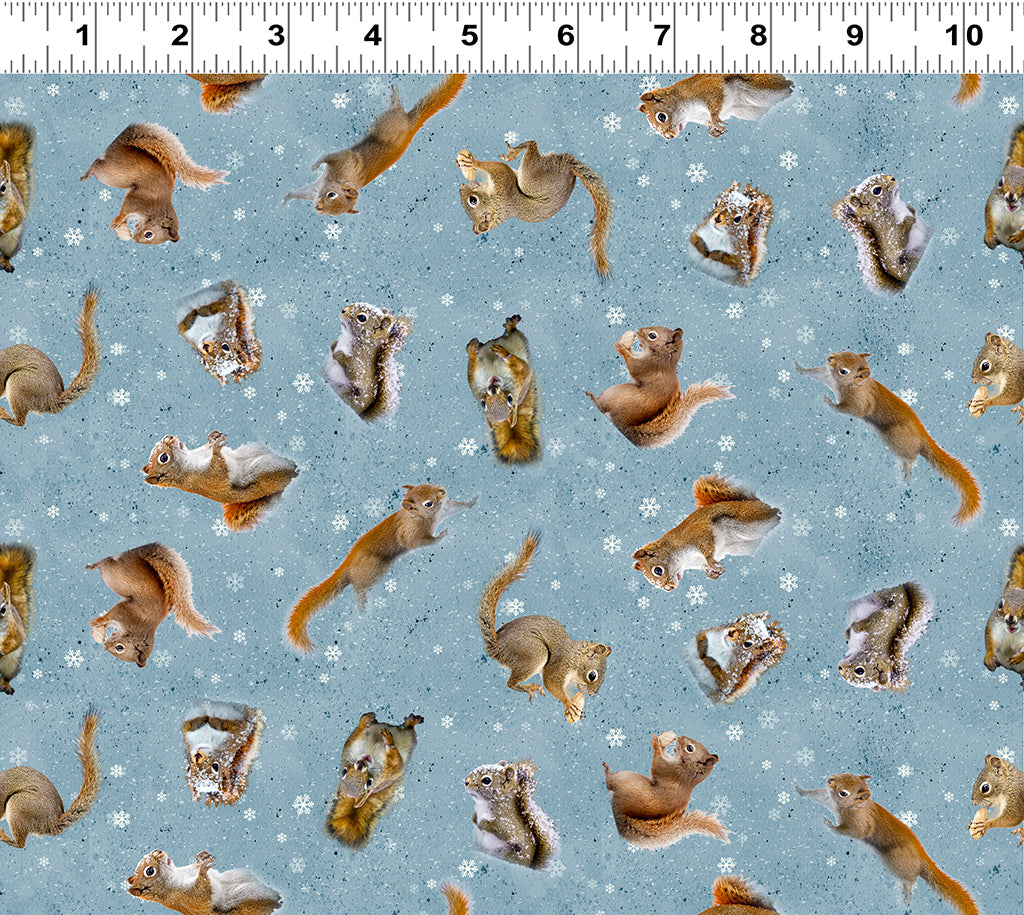 The Secret Life of Squirrels II Squirrels Denim Y4222-88