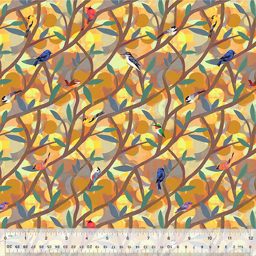 Wild North - American Birds 53935D-4