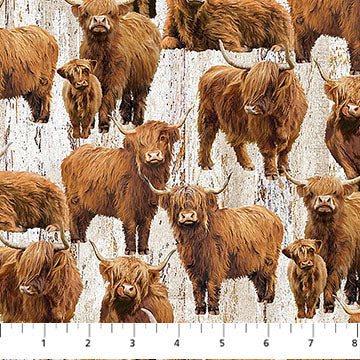 Highland Home Highland Cows DP28690-12