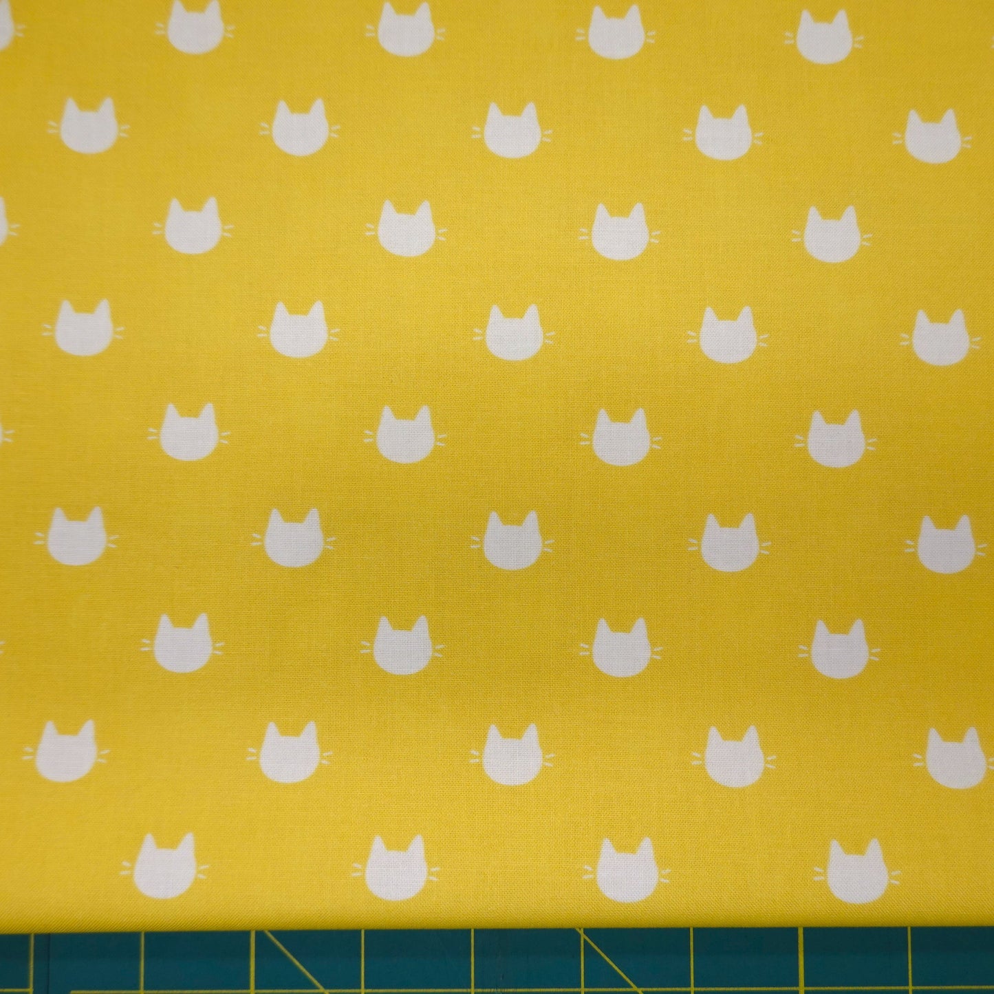 Litter Ary Cats Kitty Dots Yellow 21170105-04