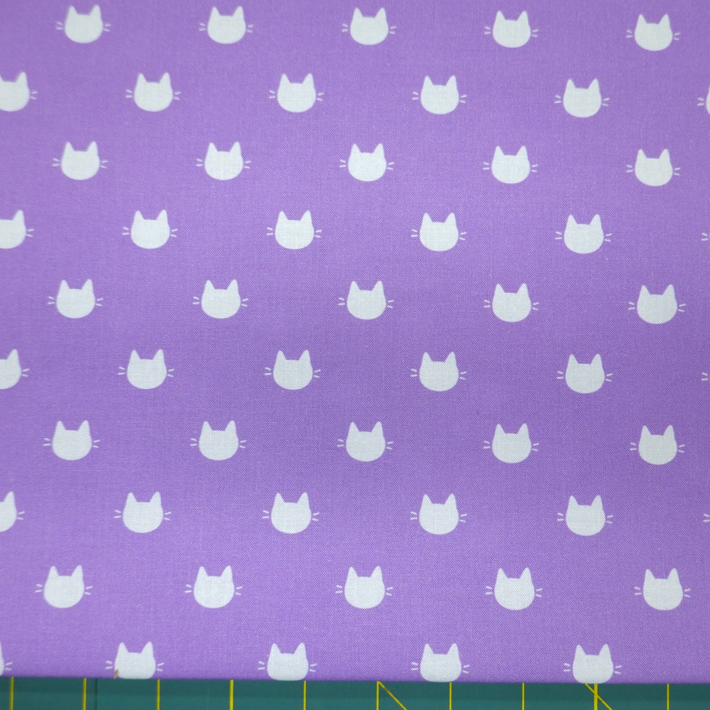 Litter Ary Cats Kitty Dots Purple 21170105-05