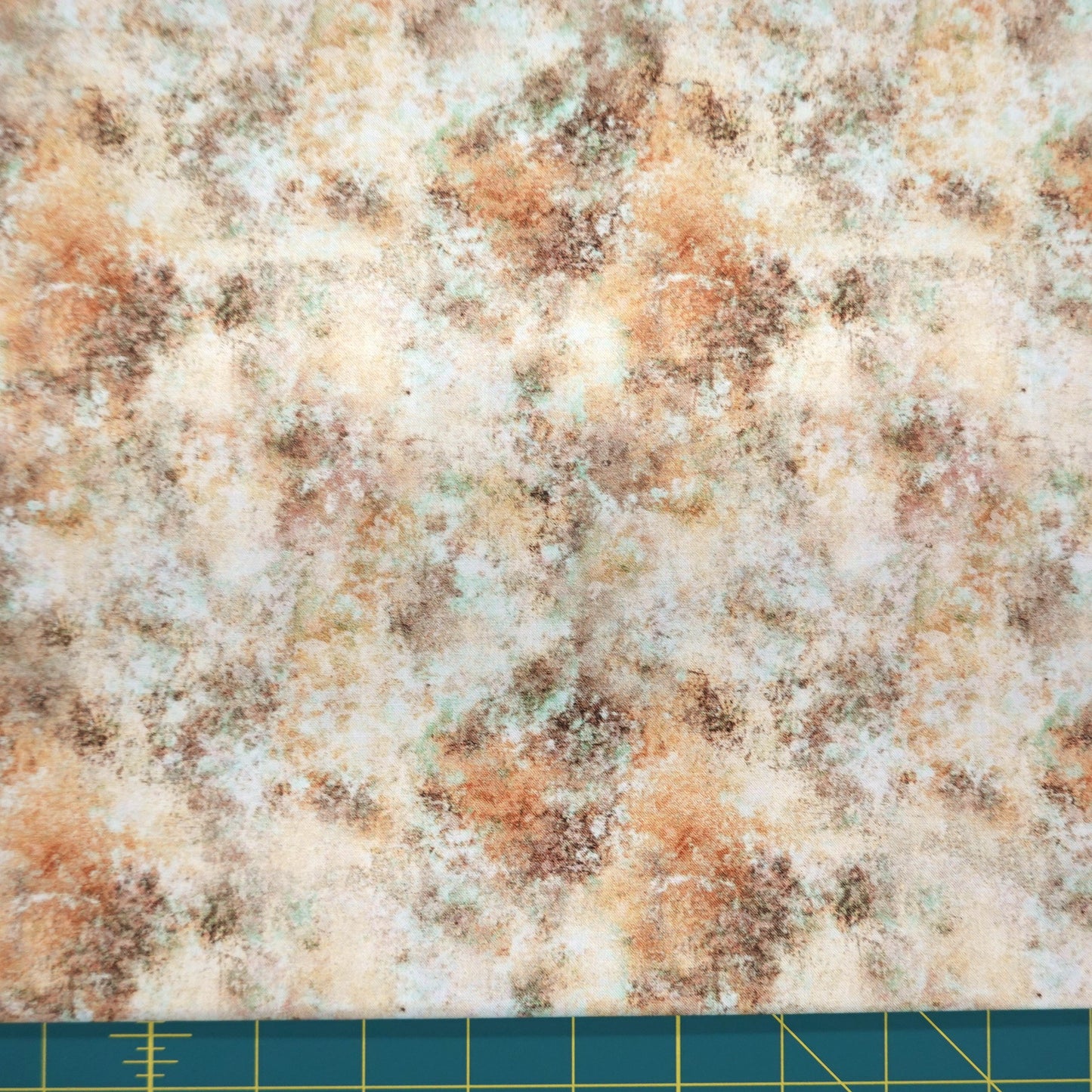 Earthscapes 1649-29716-E