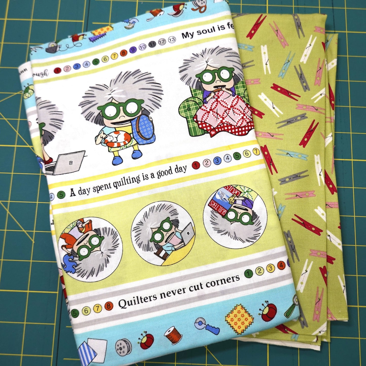 Mrs Bobbins border stripe with cloths pin backing