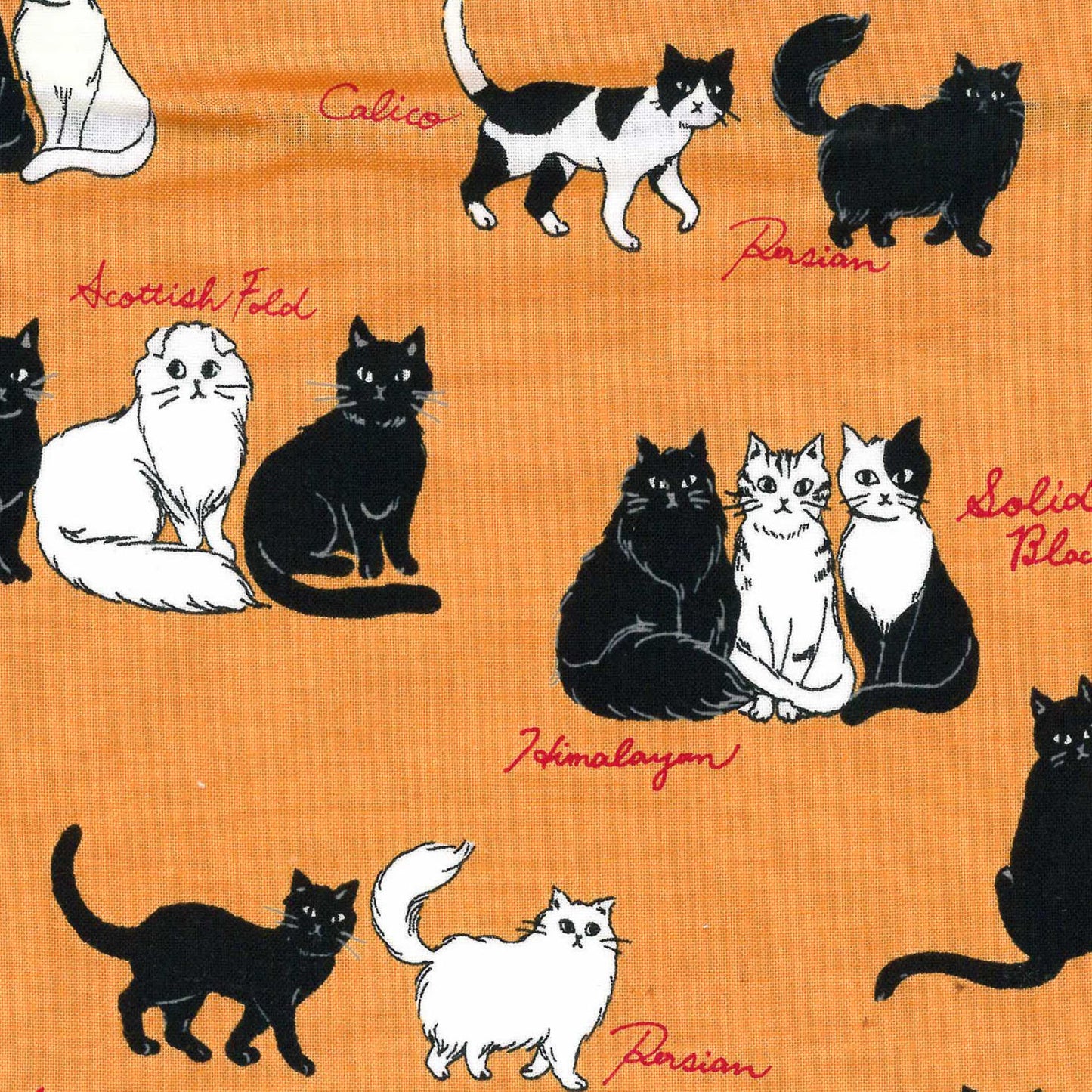 Love is Mine Cats EESCA10662S-B