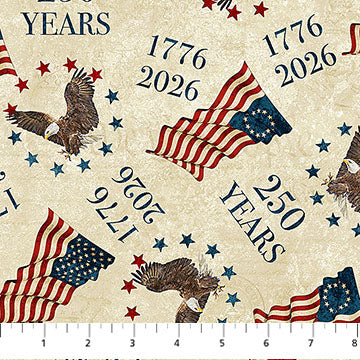 America 250 Toss DP28370-12
