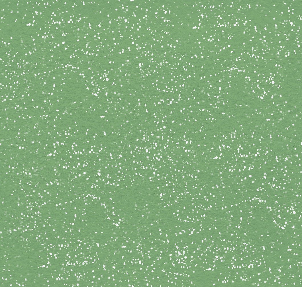 2026 Quilt MN Snow Dot Mint