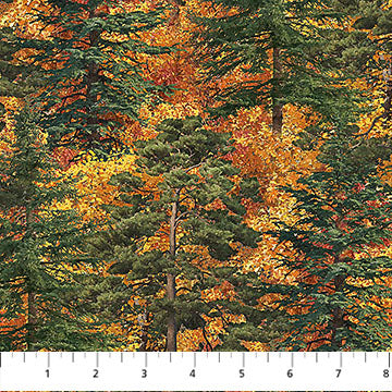 Naturescapes Autumn Woodland Trees DP28413-37