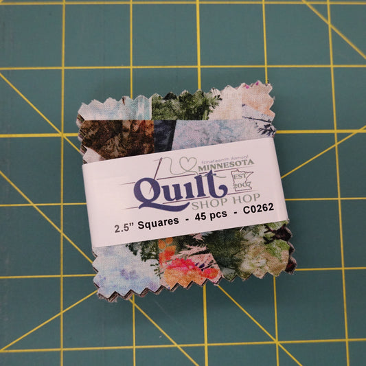 2025 Quilt MN 2.5" Squares (45 pcs)