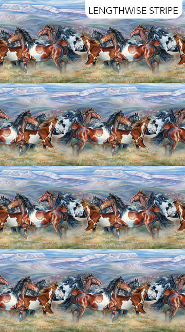 Wild and Free Border Stripe DP27601-42