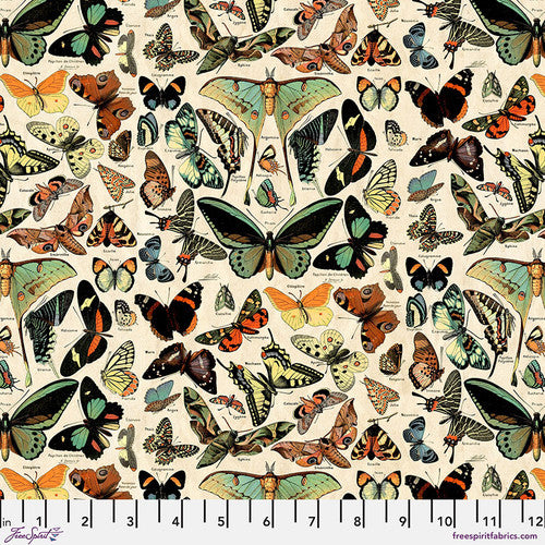 Palette Teal - Tim Holtz Teal Butterflies PWTH276.Teal