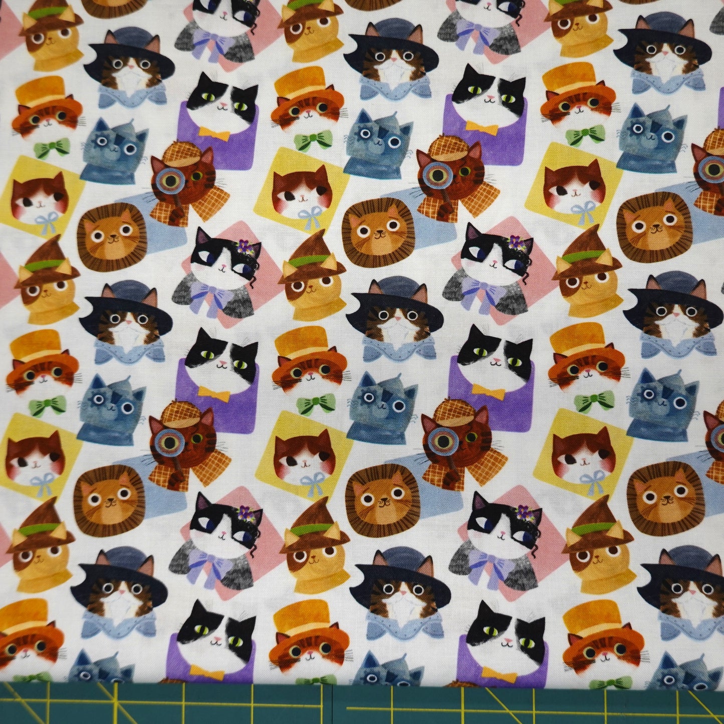 Litter Ary Cats Classic Cats 20240102-01