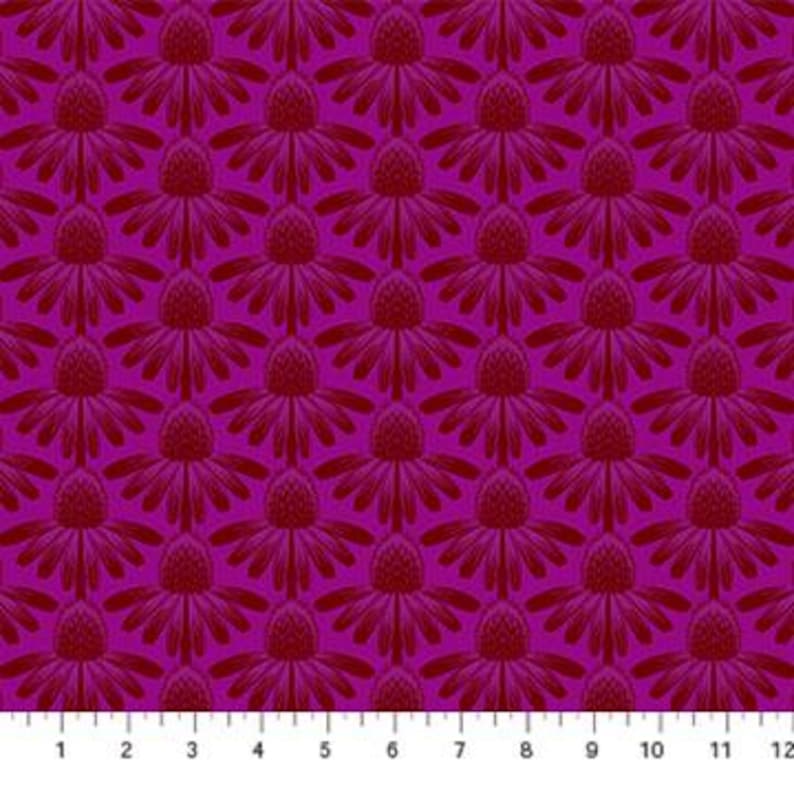 Indelible Coneflower AMT1001-26L Magenta