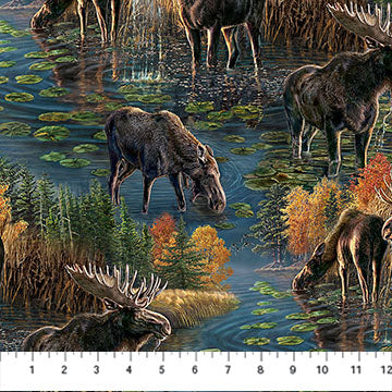 Naturescapes Autumn Woodland Scenic DP28412-48