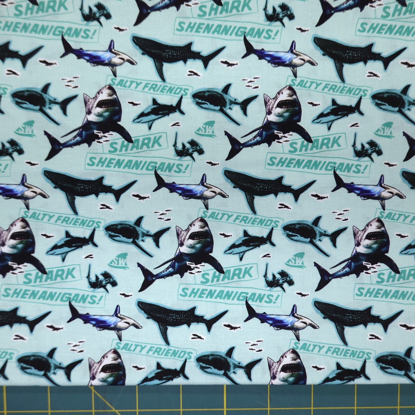 Shark Week Shark Shenanigans