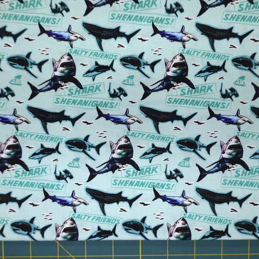 Shark Week Shark Shenanigans