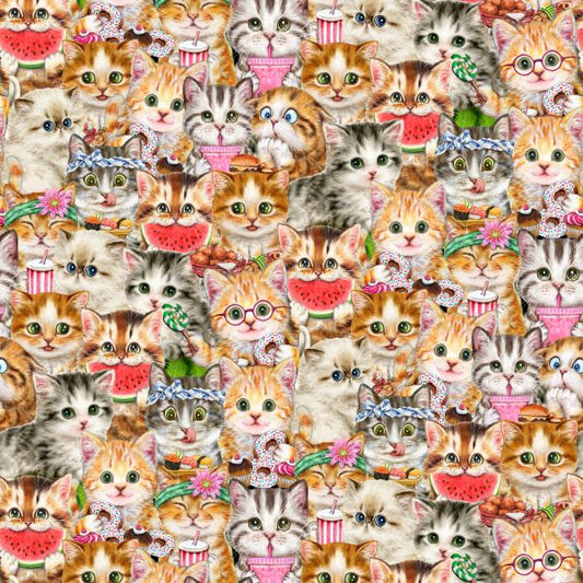 Instagram Famous 8065.44 Packed Cats
