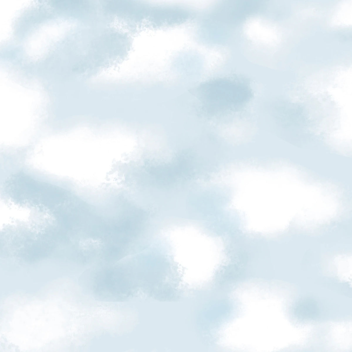 10002407