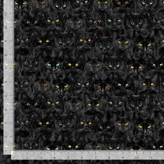 10002382
