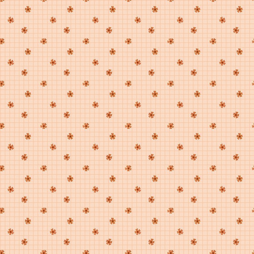 Pinwheels on Apricot DPJ2894