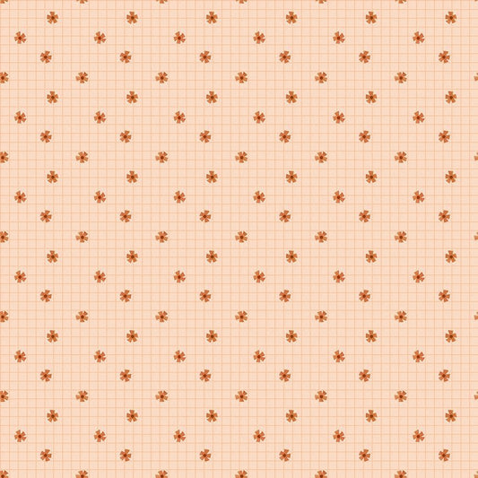 Pinwheels on Apricot DPJ2894