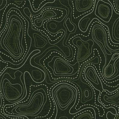 Trailhead Adventure Topography Map DCX12388-FORE-D