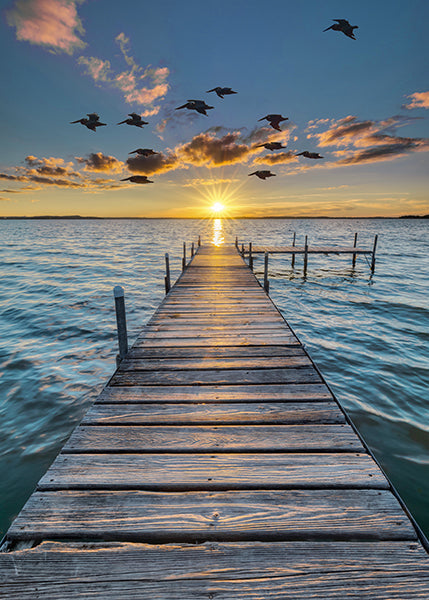 Dock Sunset Panel W5421-151