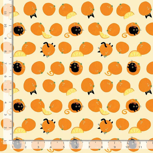 Furruit Platter Orange You Sweet Stella-DLW3577 Straw