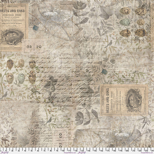 Tim Holtz Foundations Eggs & Nest PWTH031.8Mult