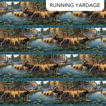 Naturescapes Autumn Woodland Border Stripe DP28411-48