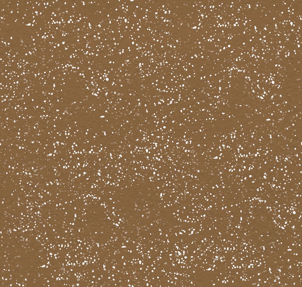 2026 Quilt MN Snow Dot Brown
