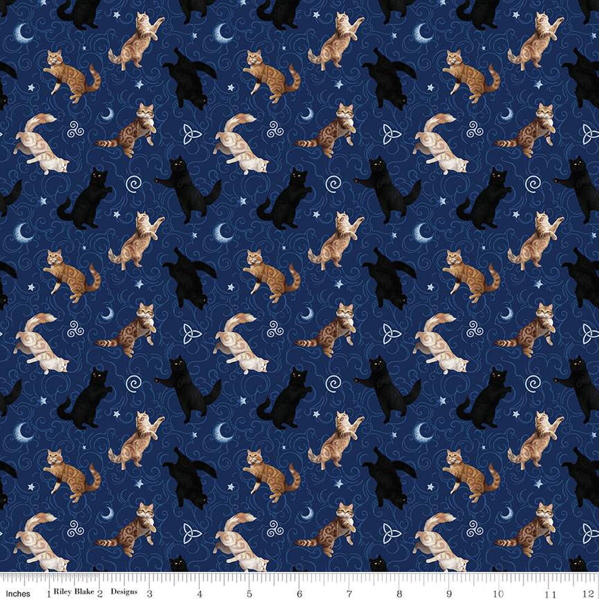 Celtic Cats CD16584 Navy