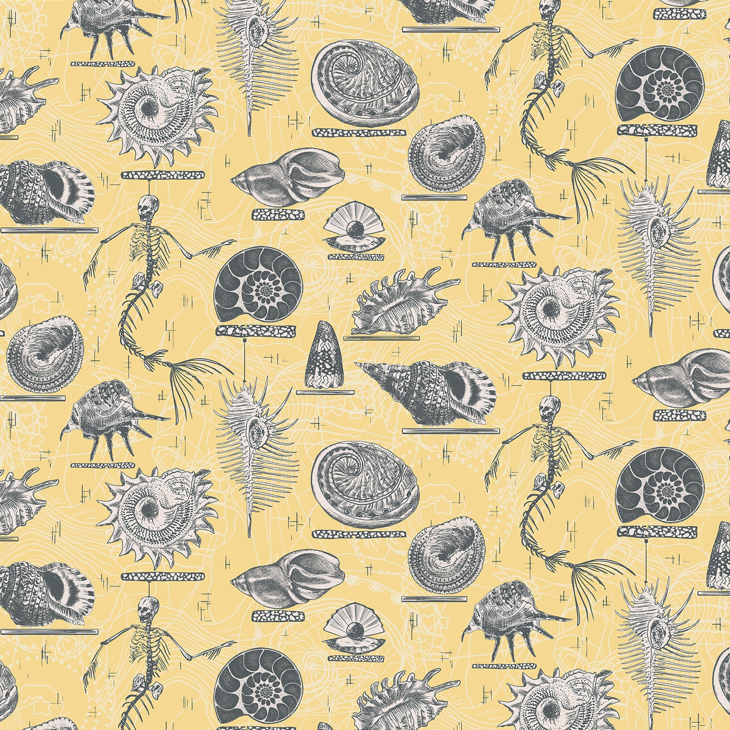 Transylvanian Studies - Ocean Treasures