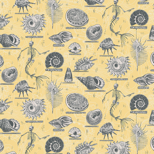 Transylvanian Studies - Ocean Treasures