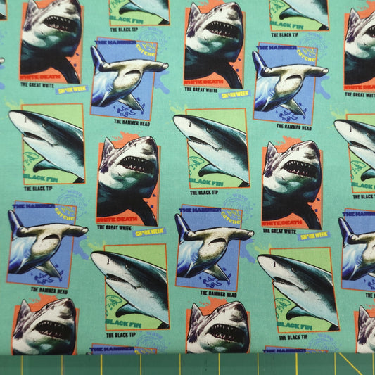 Shark Week Wave Catcher