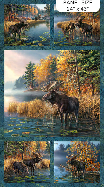 Naturescapes Autumn Panel DP28410-48