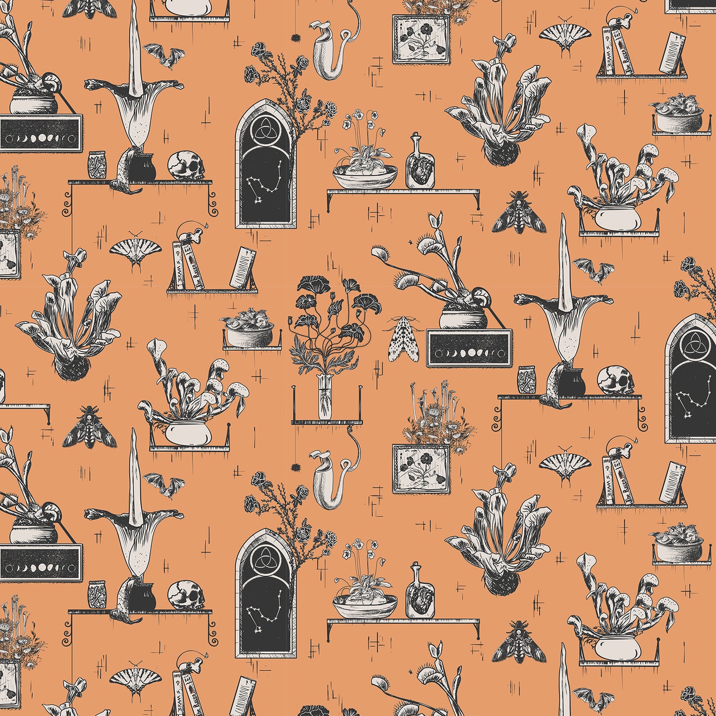 Transylvanian Studies - The Killers