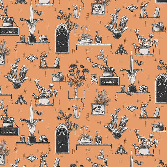 Transylvanian Studies - The Killers